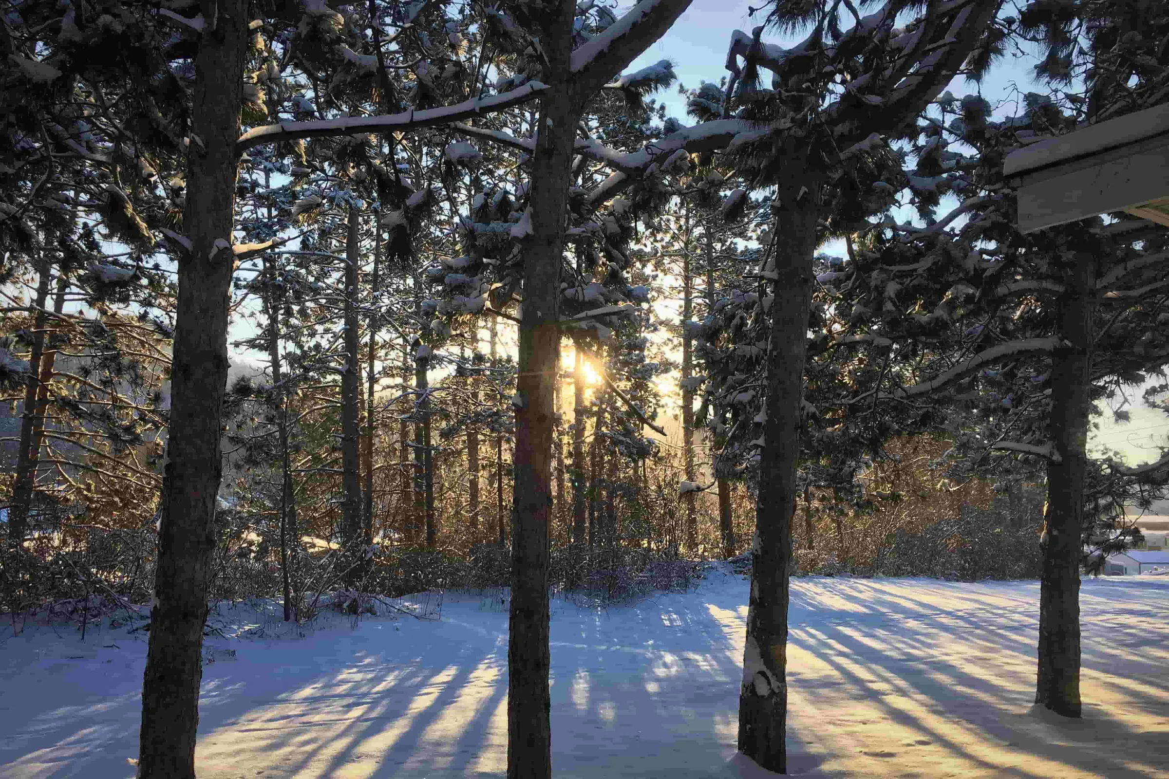 Travel La Crosse Snow