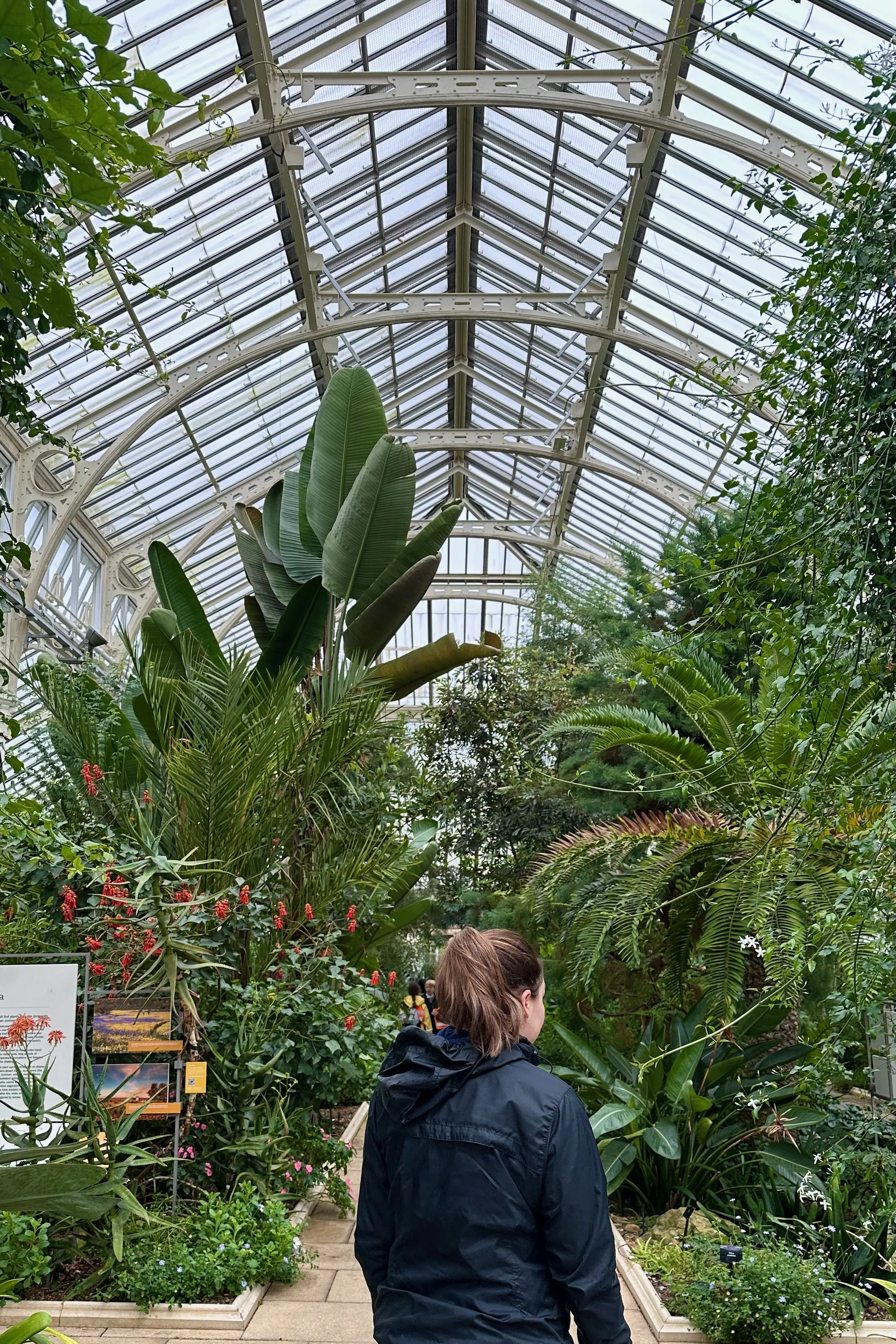 Kew Gardens Greenhouse
