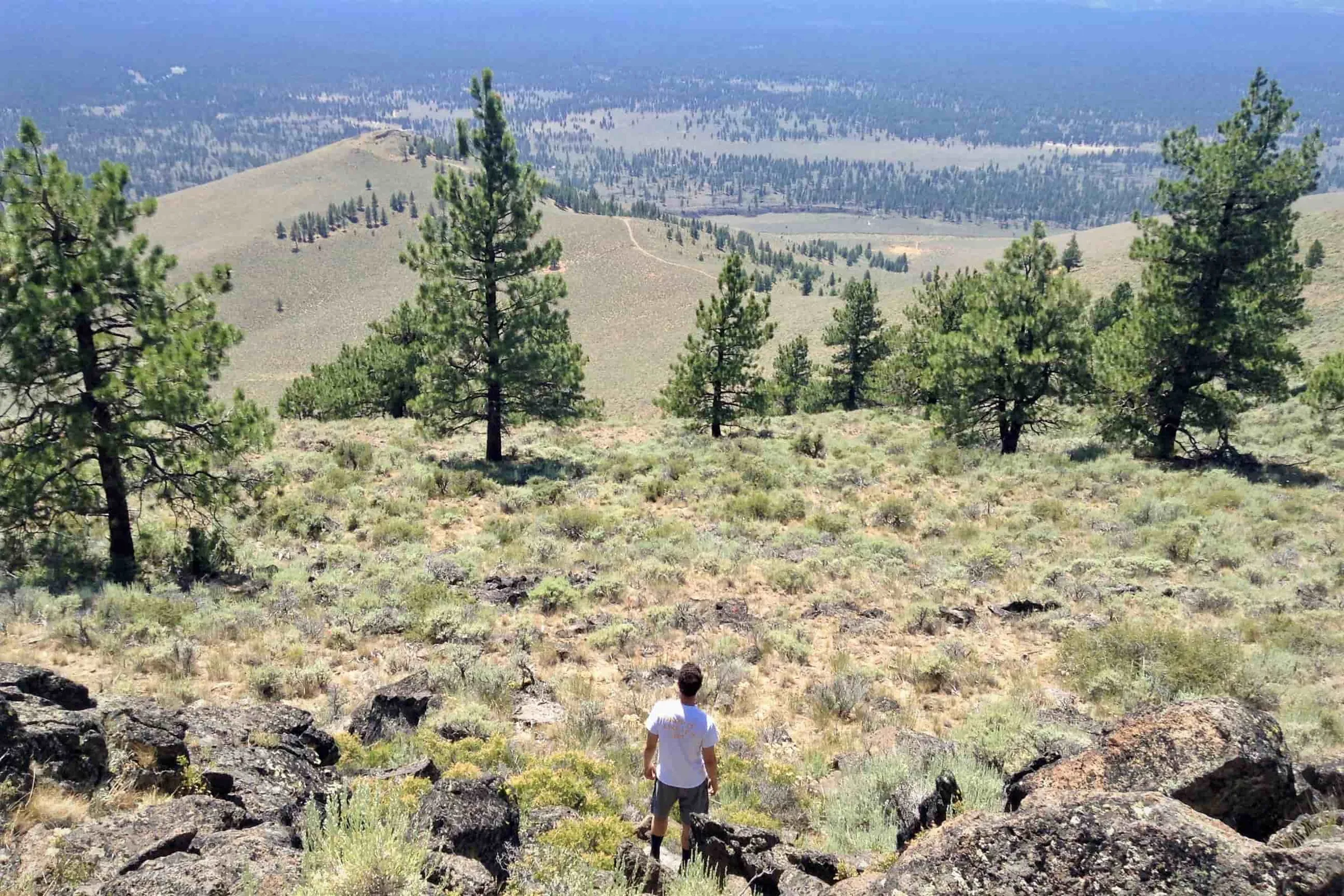 Travel Portland Landscape