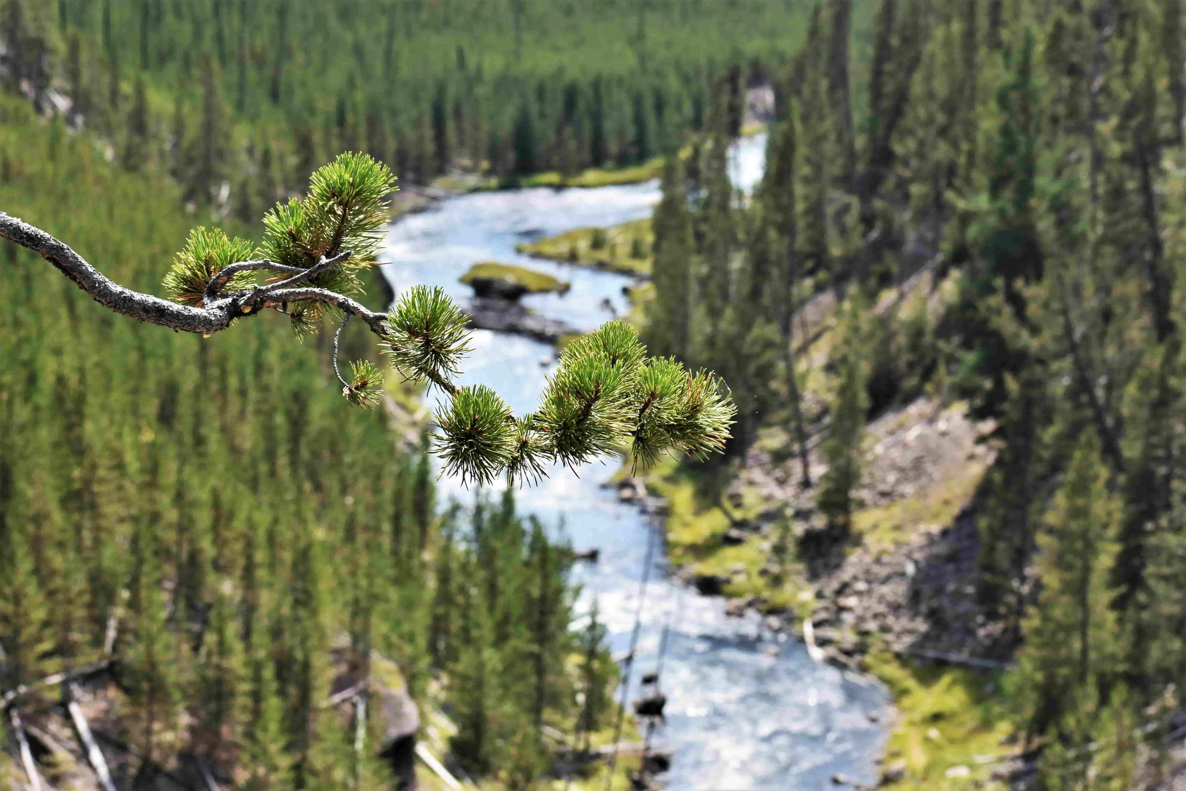 Travel Yellowstone Valley