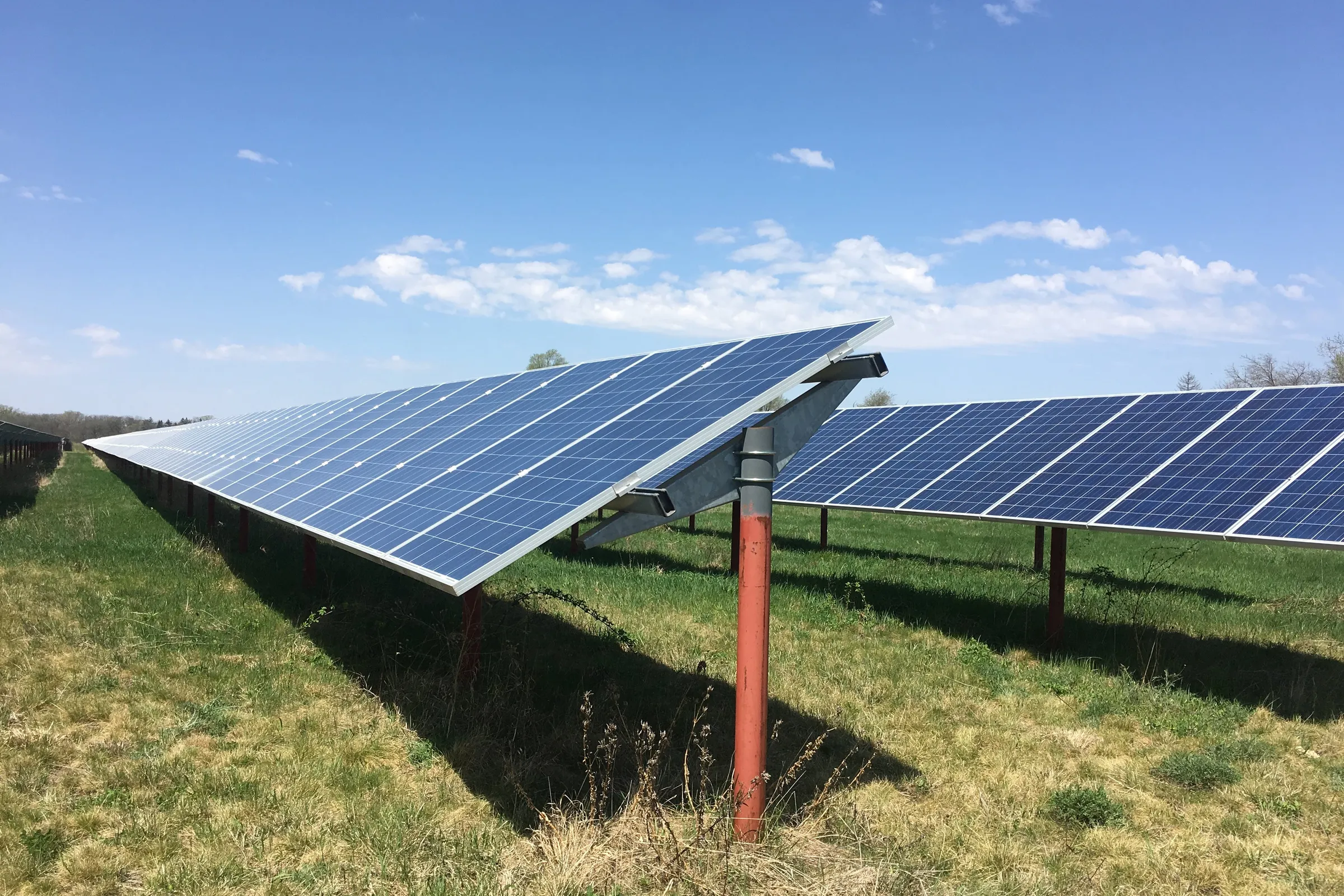 Alternative Energy Club