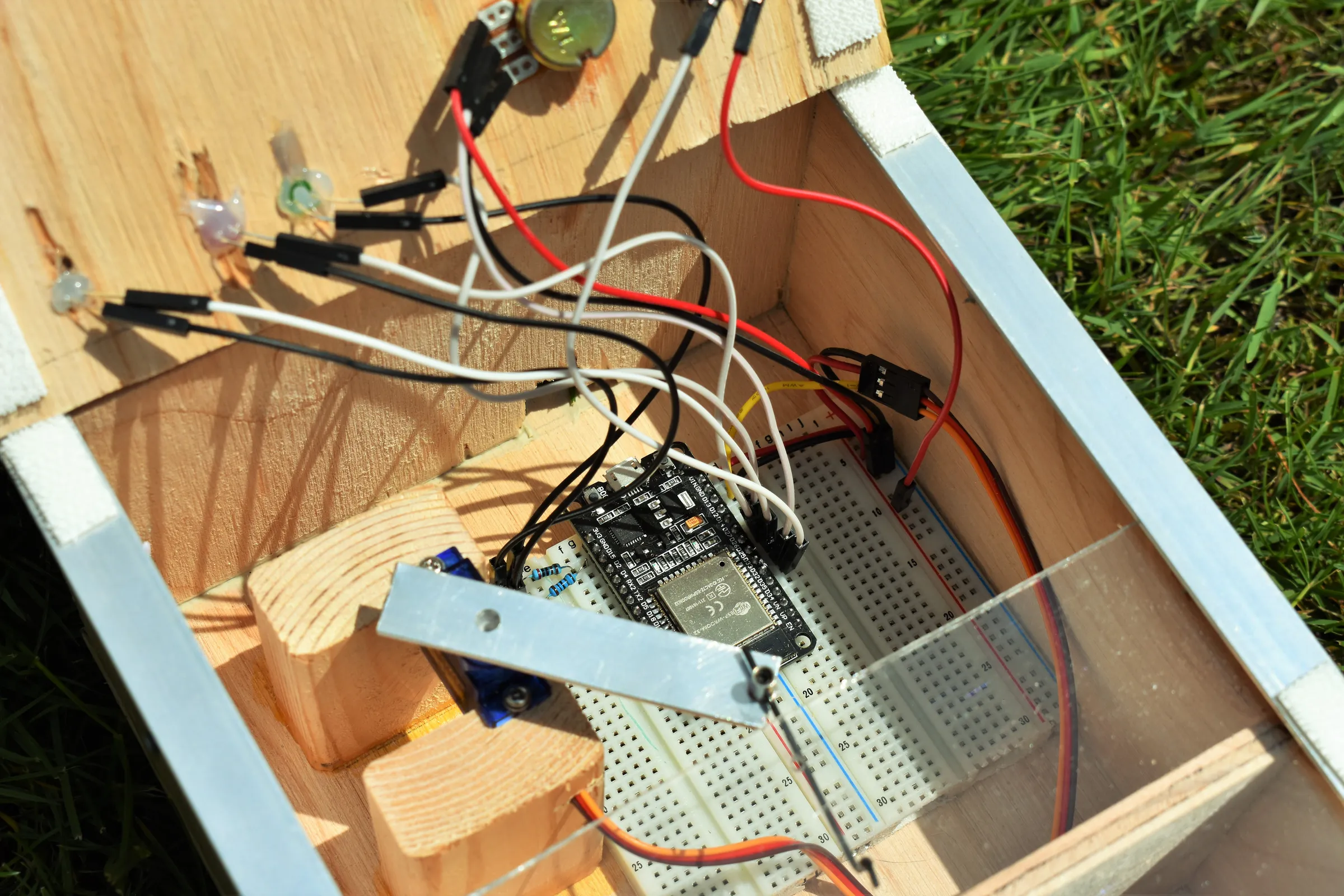 Pet Feeder Electronics Assembly